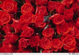   C 60-������ �������� ������������ ����������� � ������������.