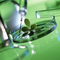 ��������������� ��������� ���������� ��������� "�������� ���������������"